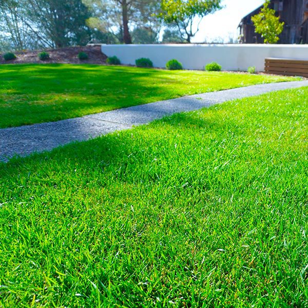 landscape maintenance 45